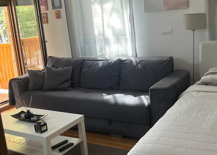 As Lejlighed Zlatibor